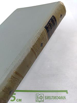 История России с древнейших времен. Книга IX (Тома 17-18)