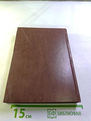 Теория экономической организации. Учебное пособие