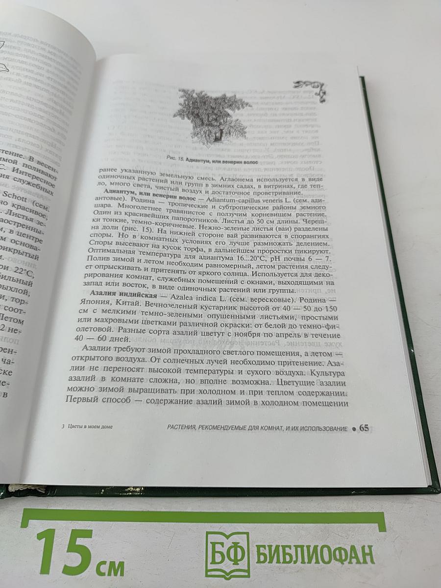 Цветы в моем доме