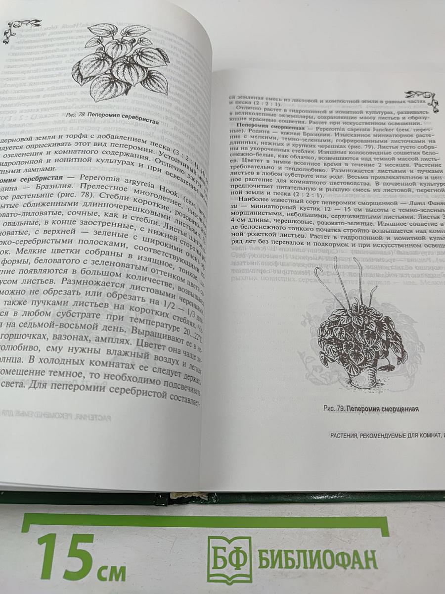 Цветы в моем доме