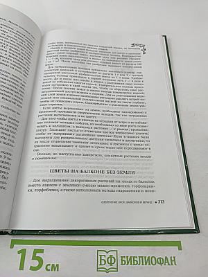 Цветы в моем доме