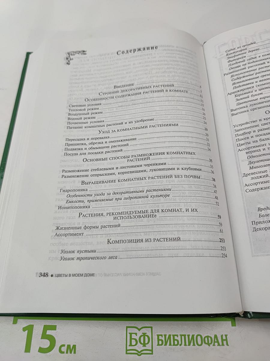 Цветы в моем доме