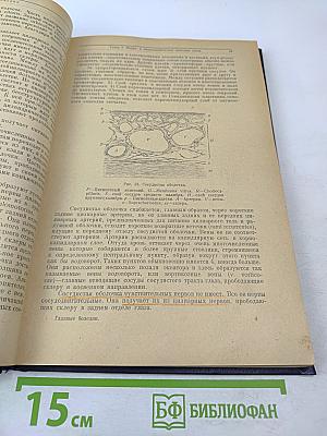 Глазные болезни