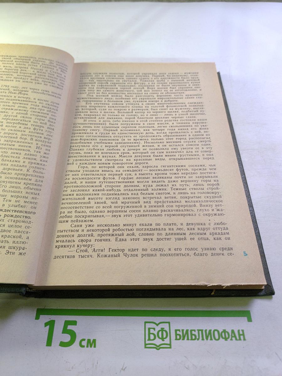 Пионеры, или У истоков Саскуиханны