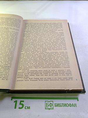 Пионеры, или У истоков Саскуиханны