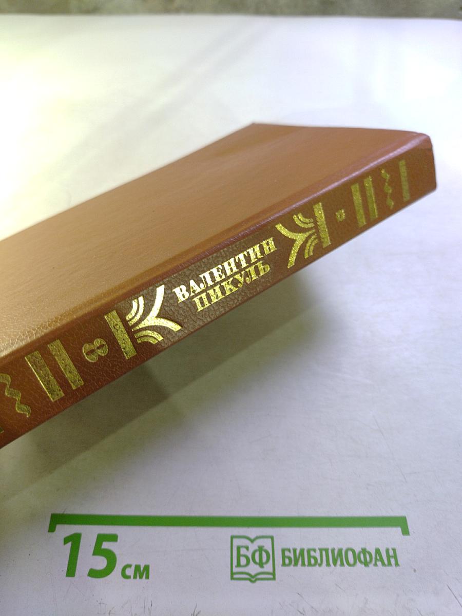 Пером и шпагой. Роман-хроника. Том 8