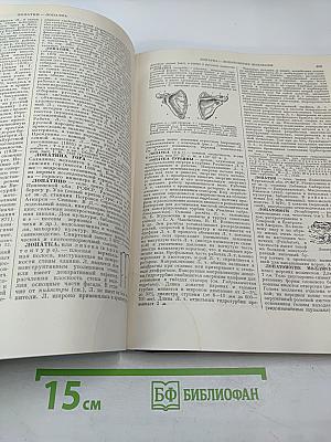 Большая Советская Энциклопедия. Том 25: Лесничий - Магнит