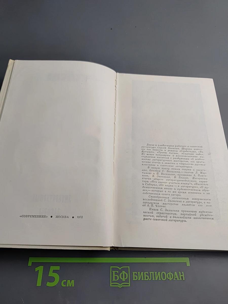 Литературные заботы