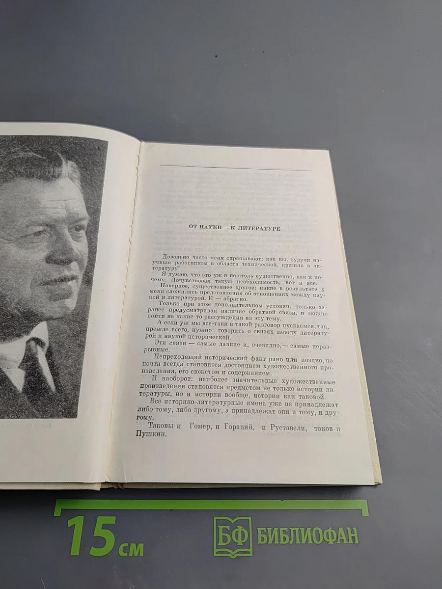 Литературные заботы