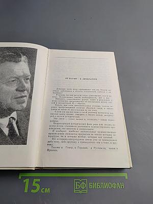 Литературные заботы