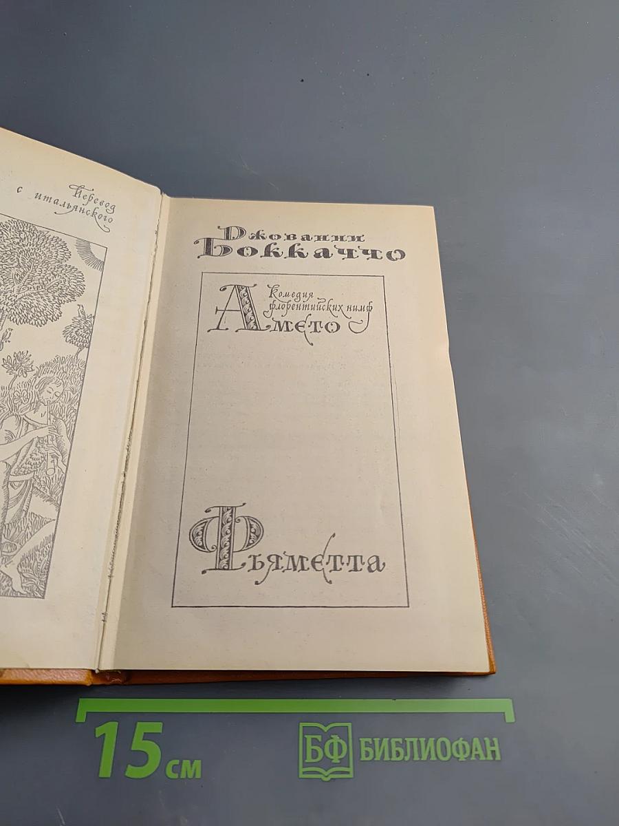 Амето. Фьяметта