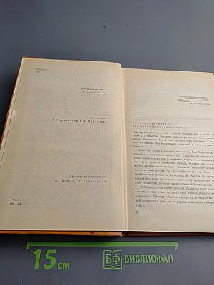 Амето. Фьяметта