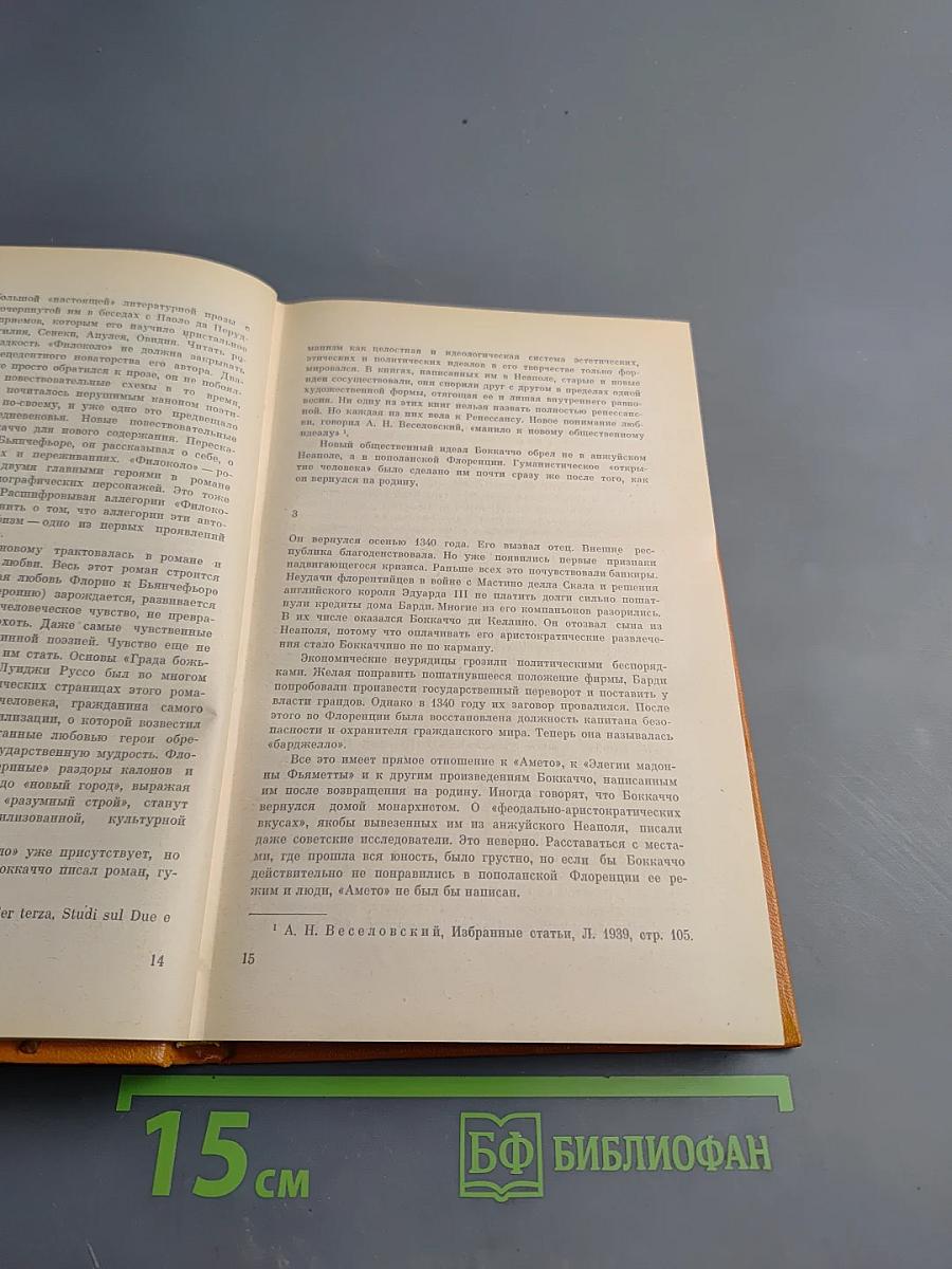 Амето. Фьяметта