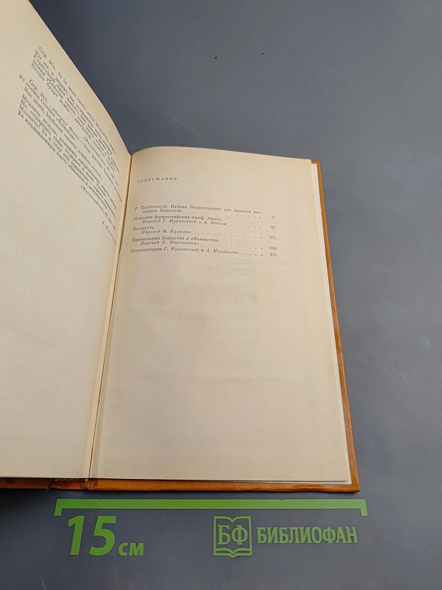 Амето. Фьяметта