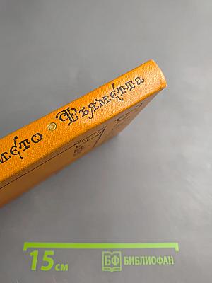 Амето. Фьяметта