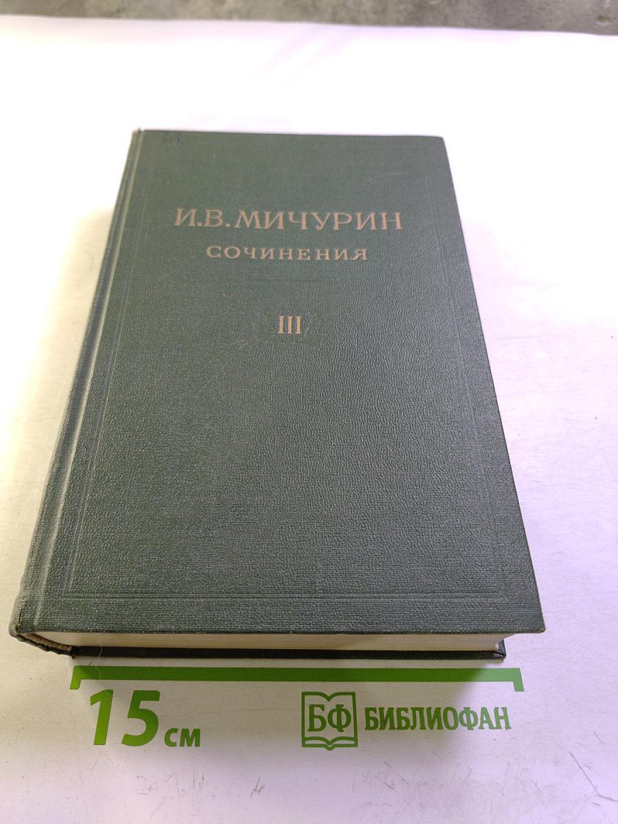 Сочинения. Том третий: Записные книжки и дневники