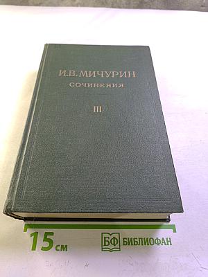 Сочинения. Том третий: Записные книжки и дневники