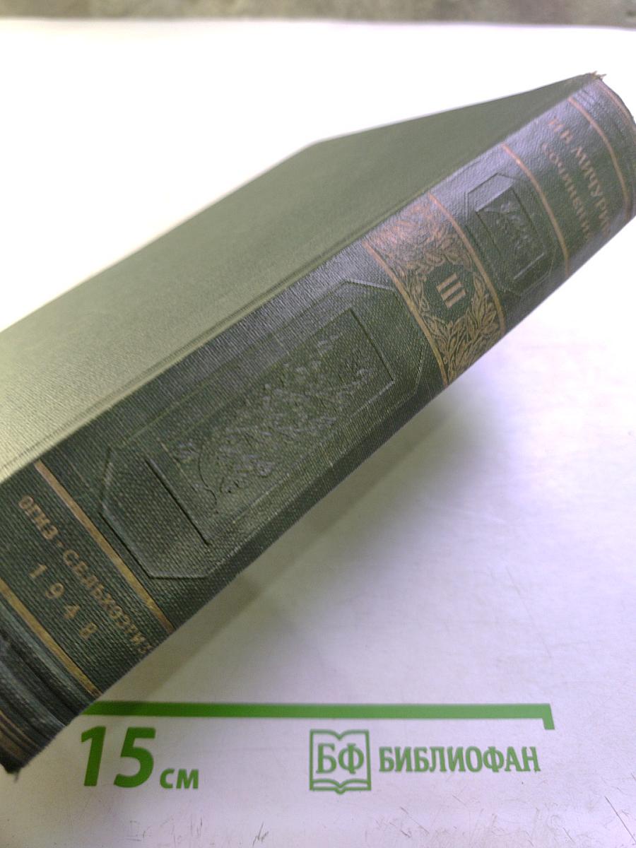 Сочинения. Том третий: Записные книжки и дневники