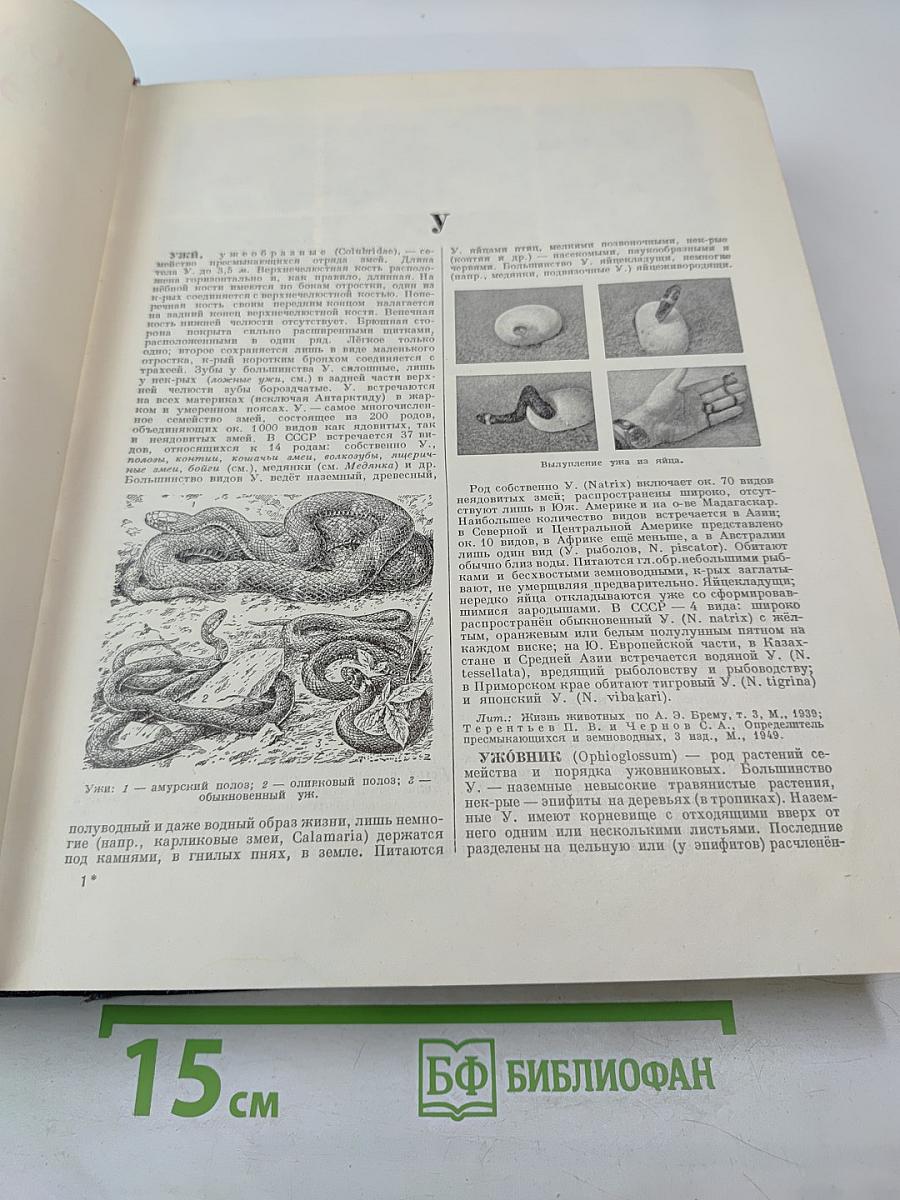 Большая Советская Энциклопедия, Том 44: Ужи - Фидель
