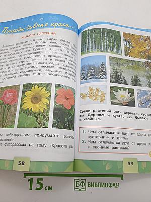 Окружающий мир