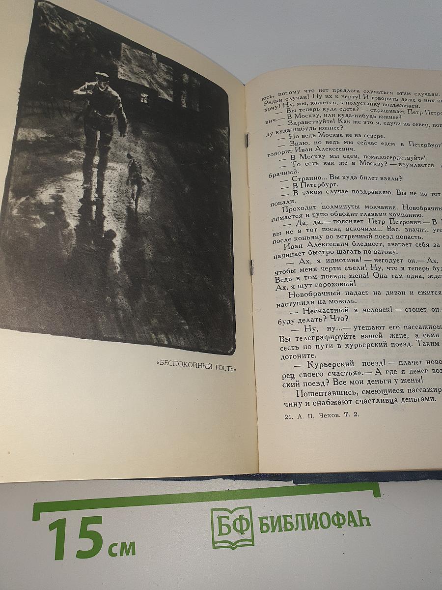 Собрание сочинений. Том 2. Рассказы и повести 1885-1886