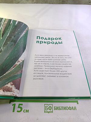 Алоэ для здоровья и красоты