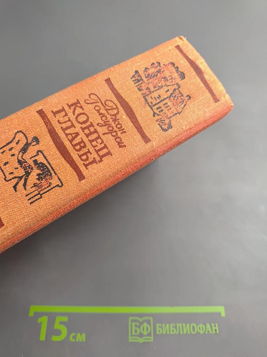 Конец главы