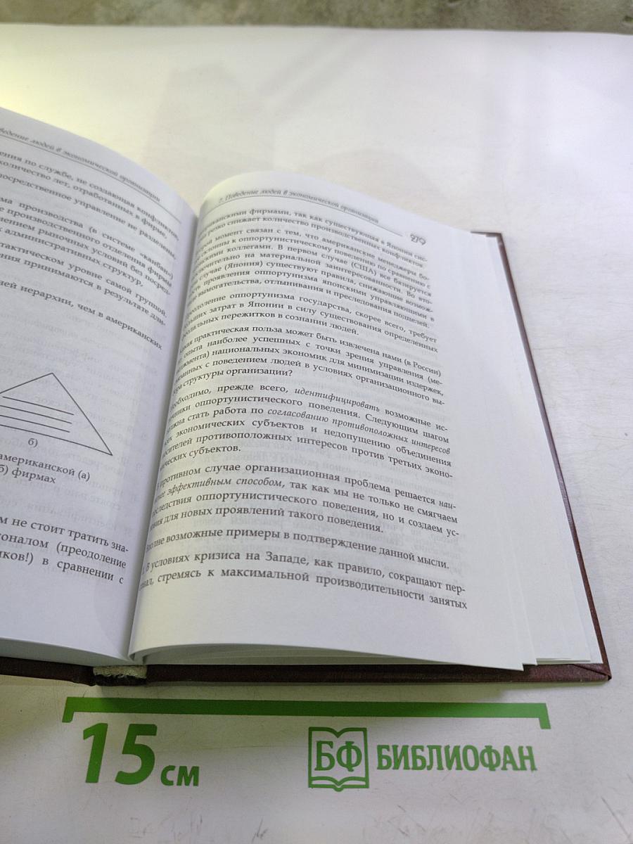 Теория экономической организации