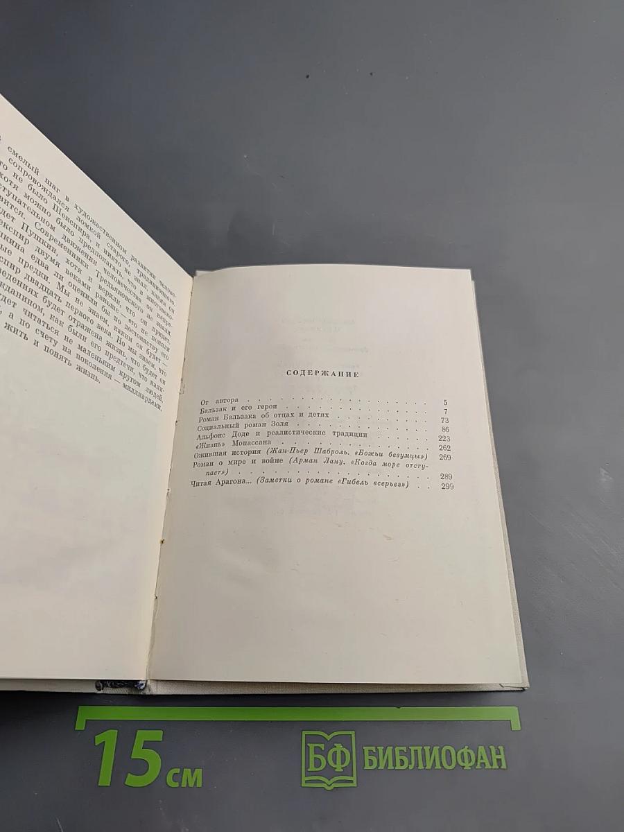 Портреты французских писателей