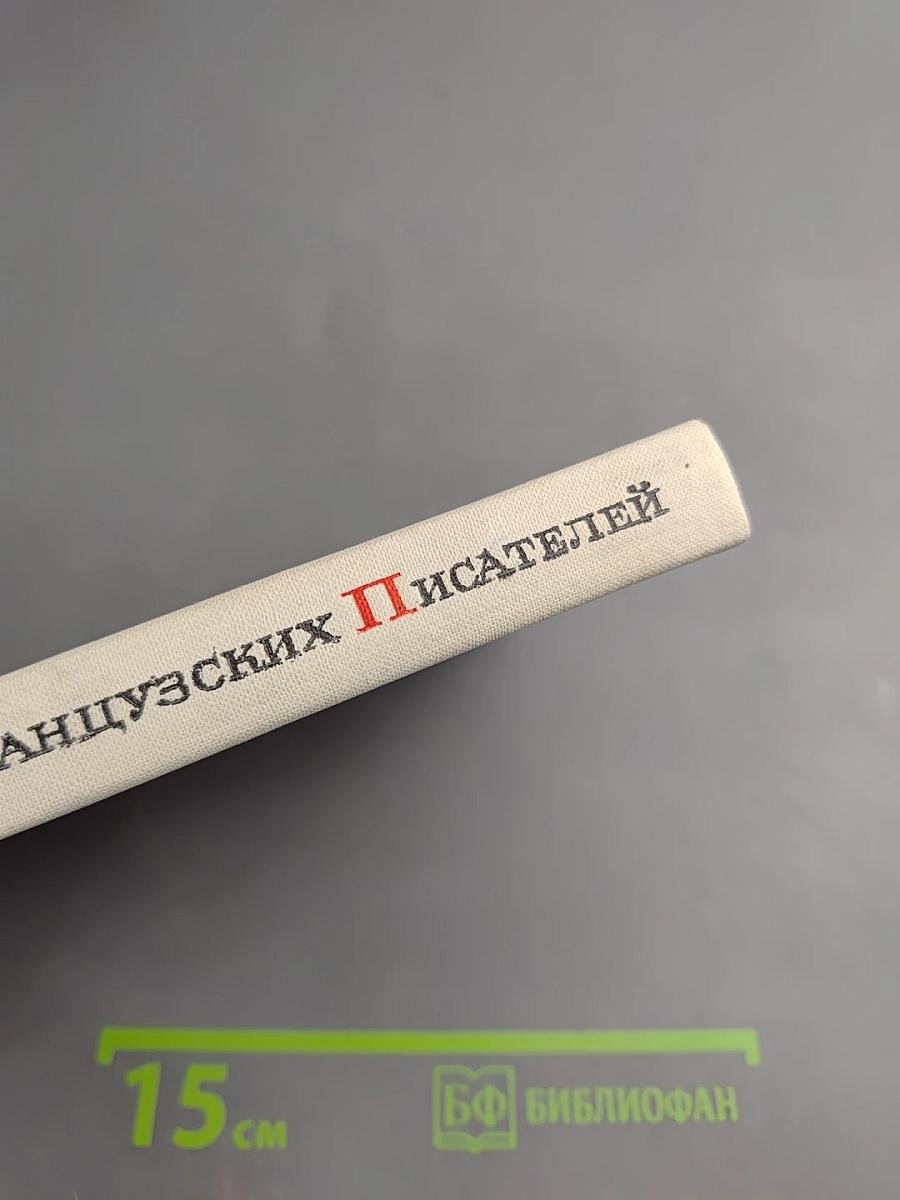 Портреты французских писателей