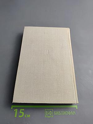 Деловая Америка