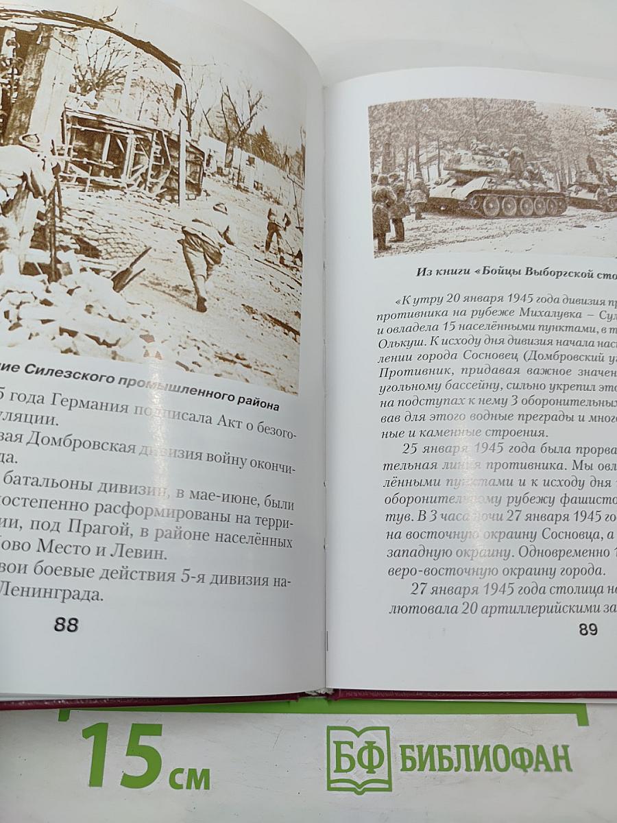 5-я дивизия Народного ополчения (13-я стрелковая Домбровская дивизия)