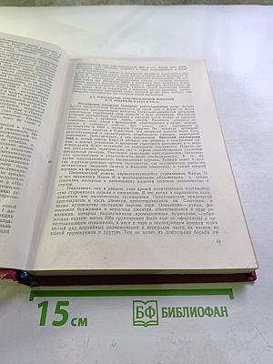 История государства и права зарубежных стран. Часть II