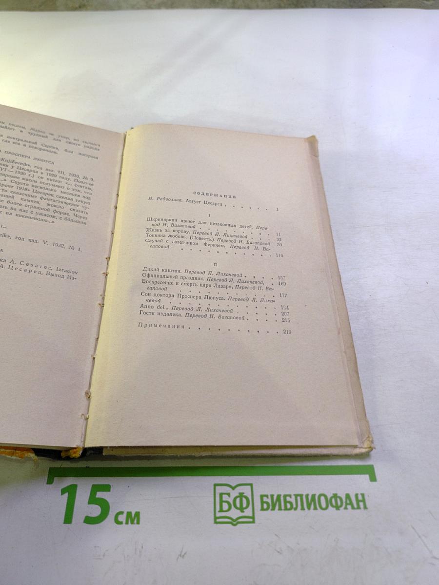 Тонкина любовь. Рассказы