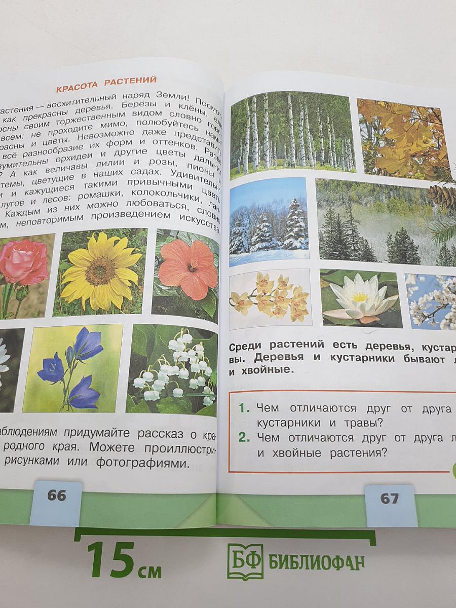 Окружающий МИР
