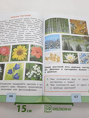 Окружающий МИР