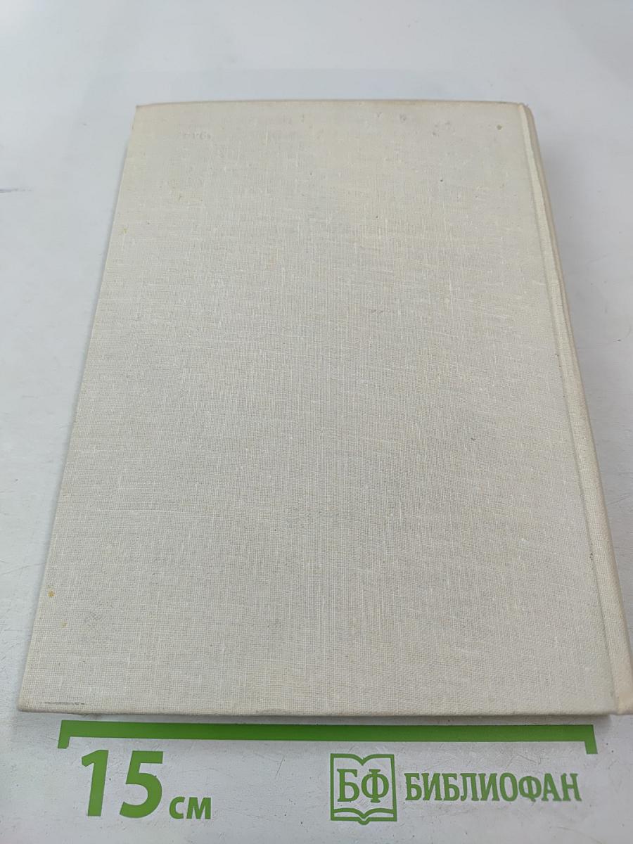 Мир Игоревой песни