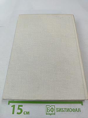 Мир Игоревой песни