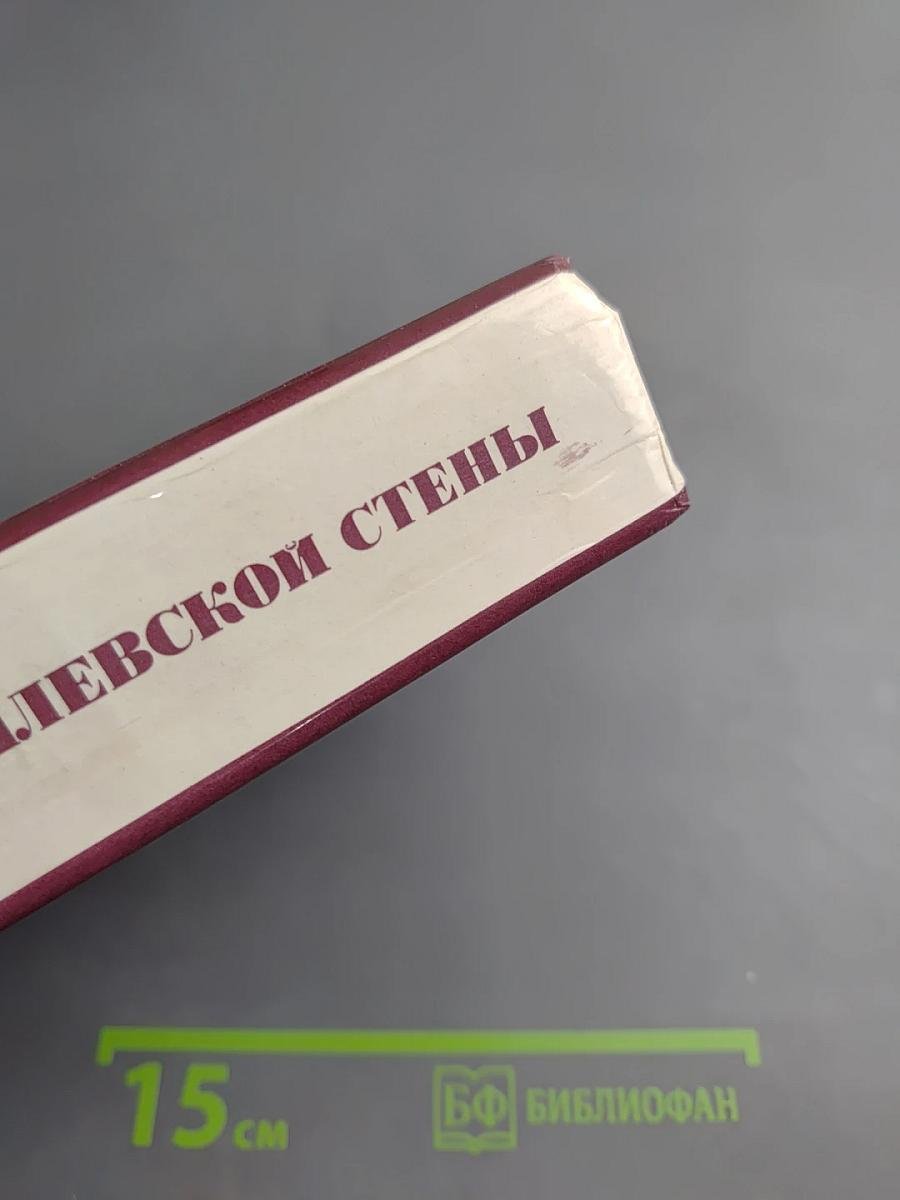 У Кремлевской стены