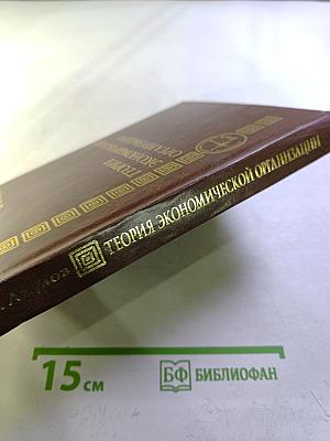 Теория экономической организации