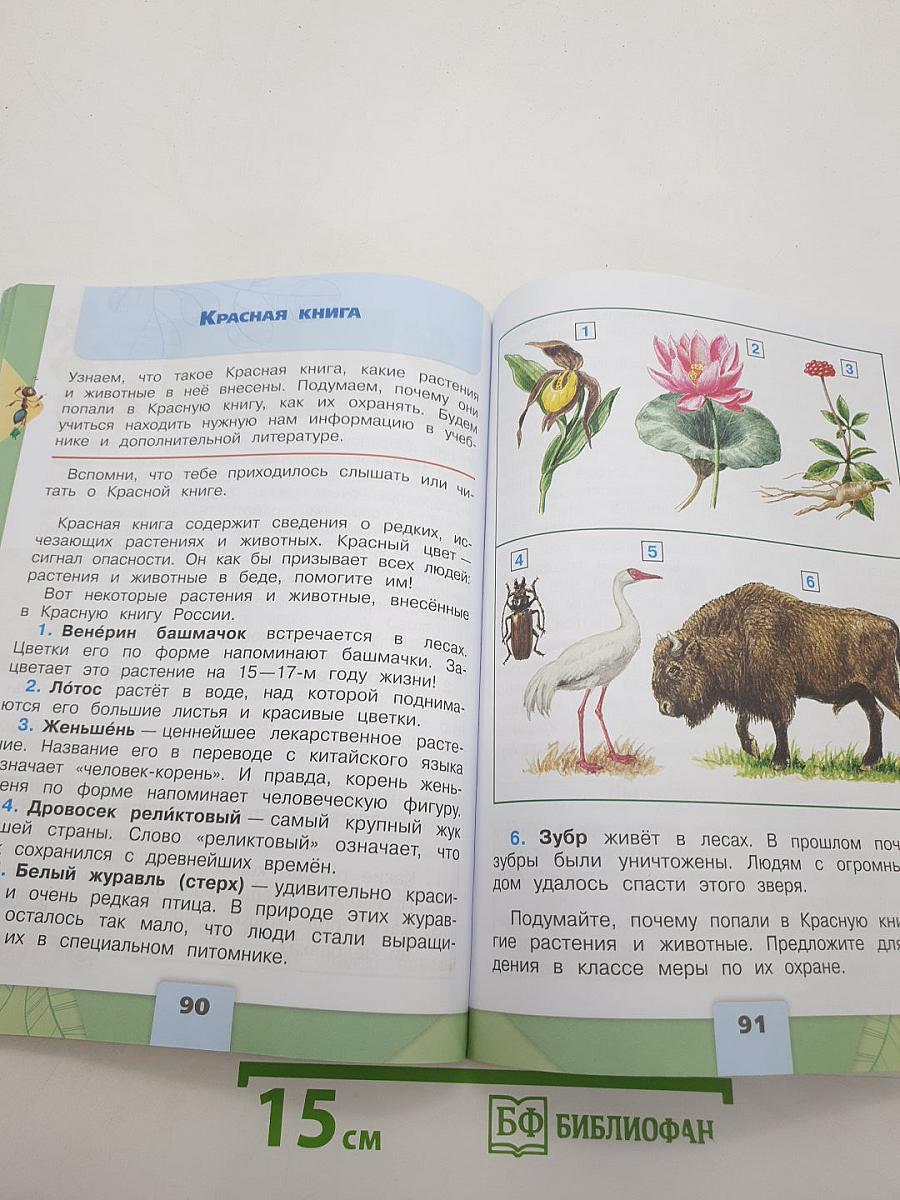 Окружающий мир 2 класс. Часть 1