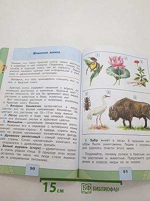 Окружающий мир 2 класс. Часть 1