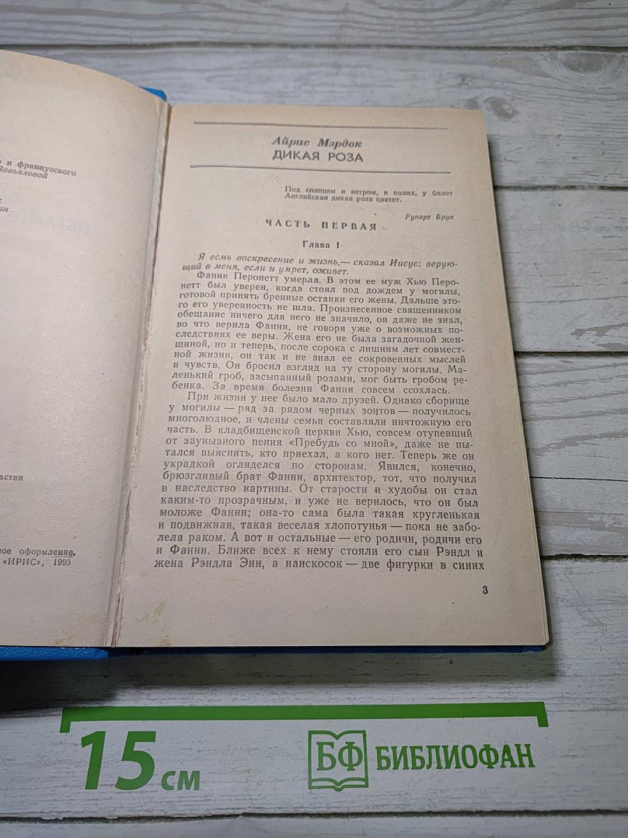 Дикая роза. Летайте «Каравеллой»