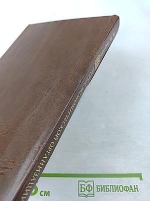 Теория экономической организации