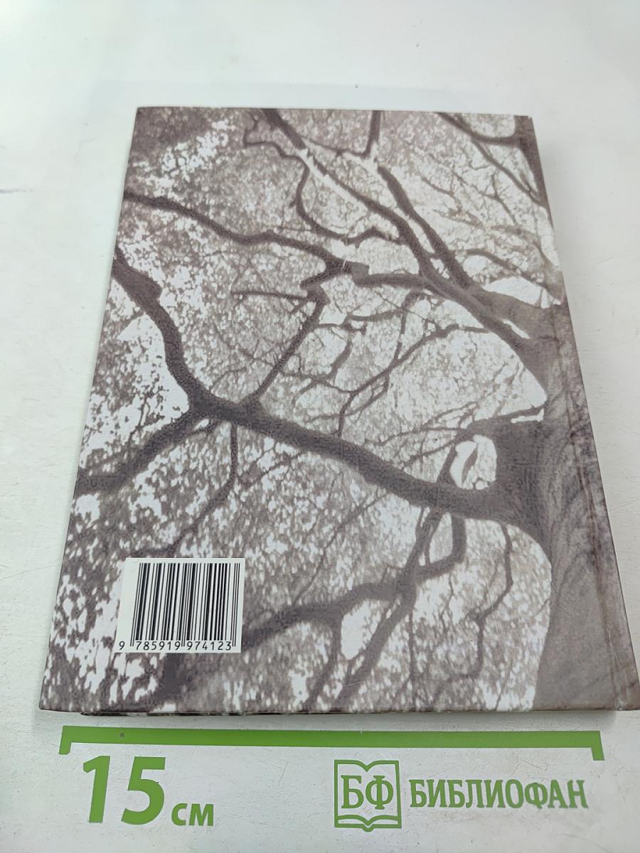 История семей Давидовичей - Островских