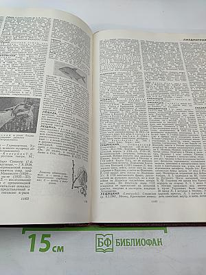 Большая Советская Энциклопедия. Том 14. Куна - Ломами