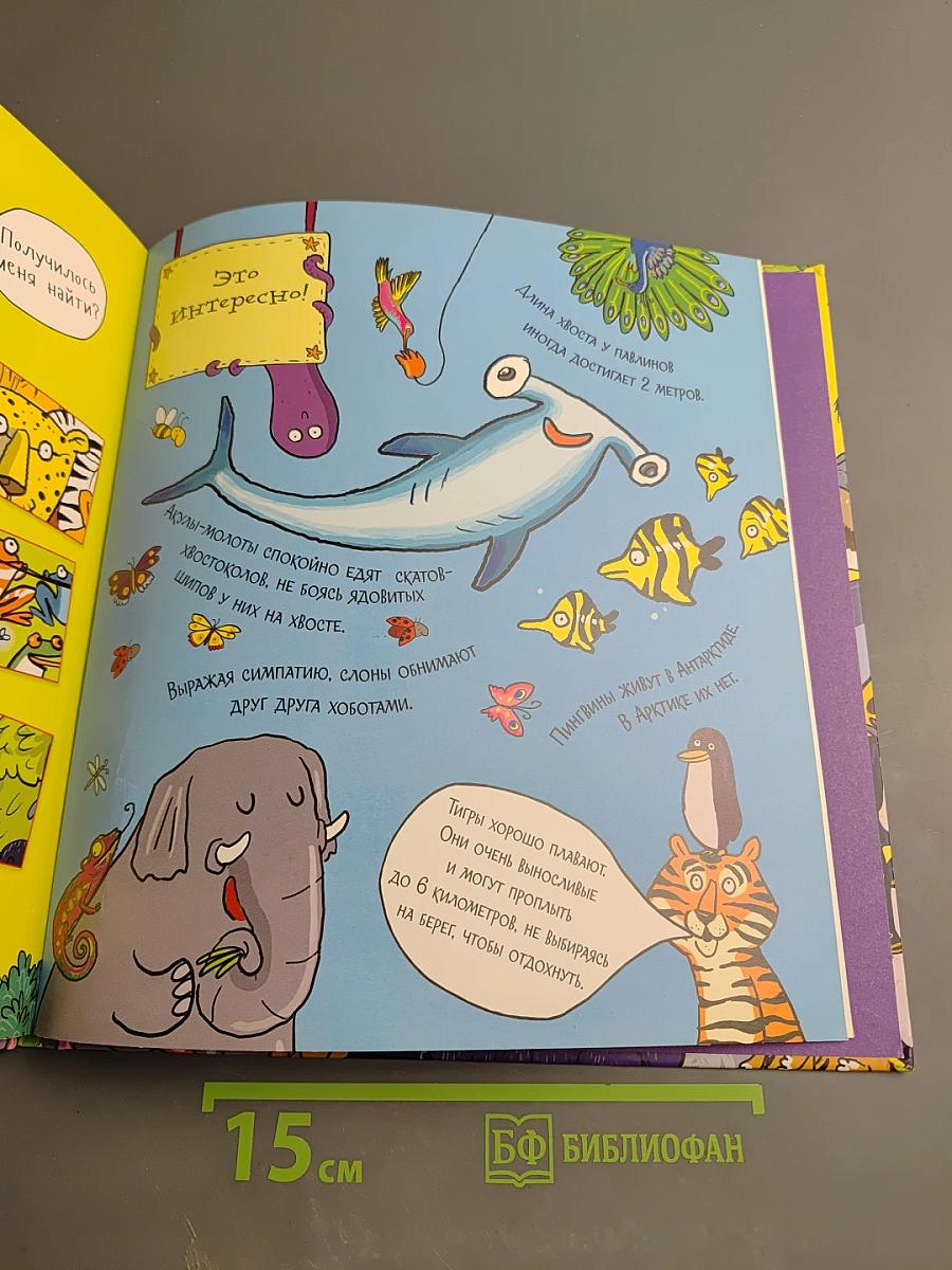 Найди зебру в зоопарке