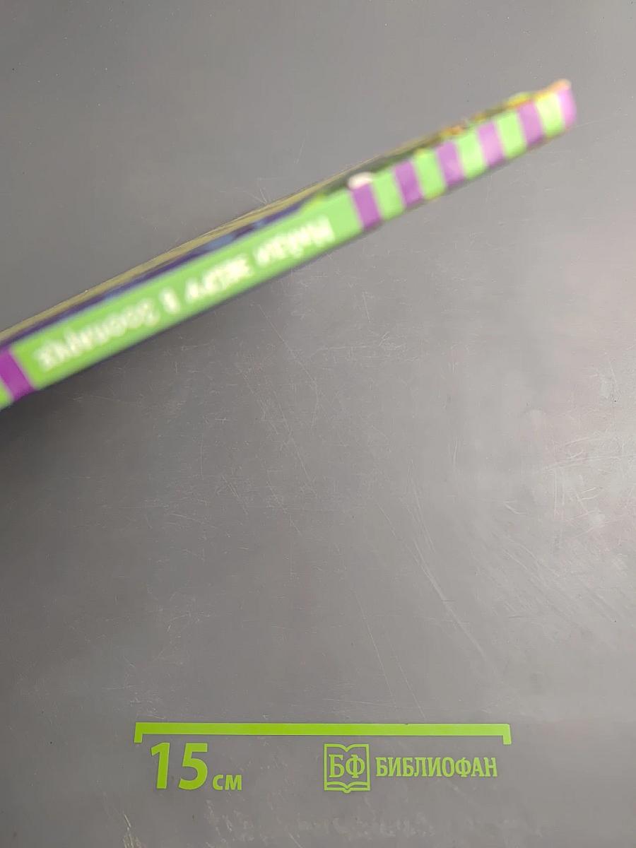 Найди зебру в зоопарке