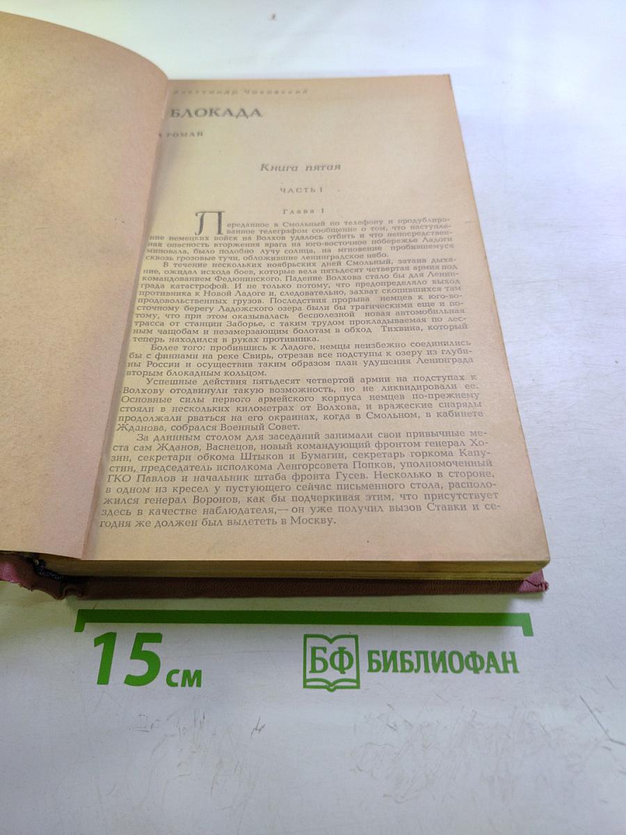 Блокада. Книга пятая