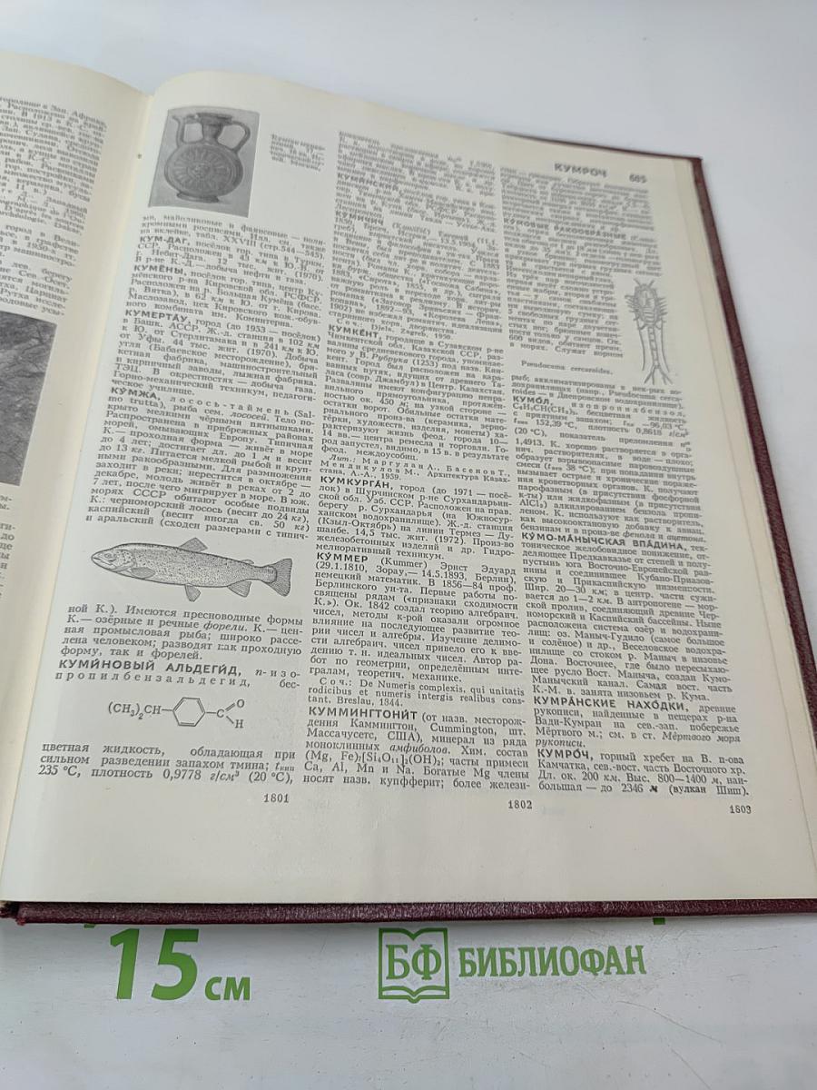 Большая Советская Энциклопедия. Том 13. Конда-Кун